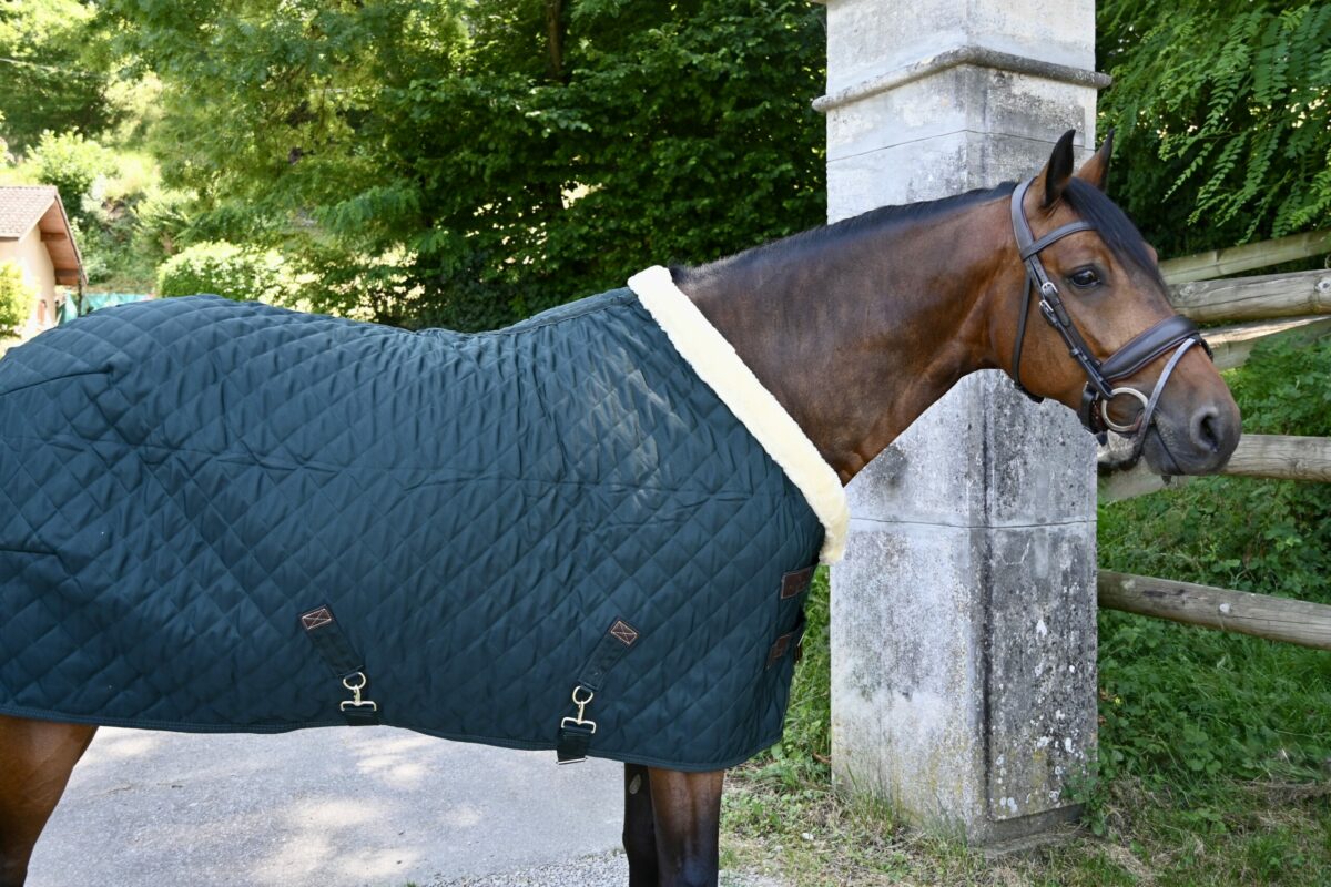 Show rug 160gr – Image 3