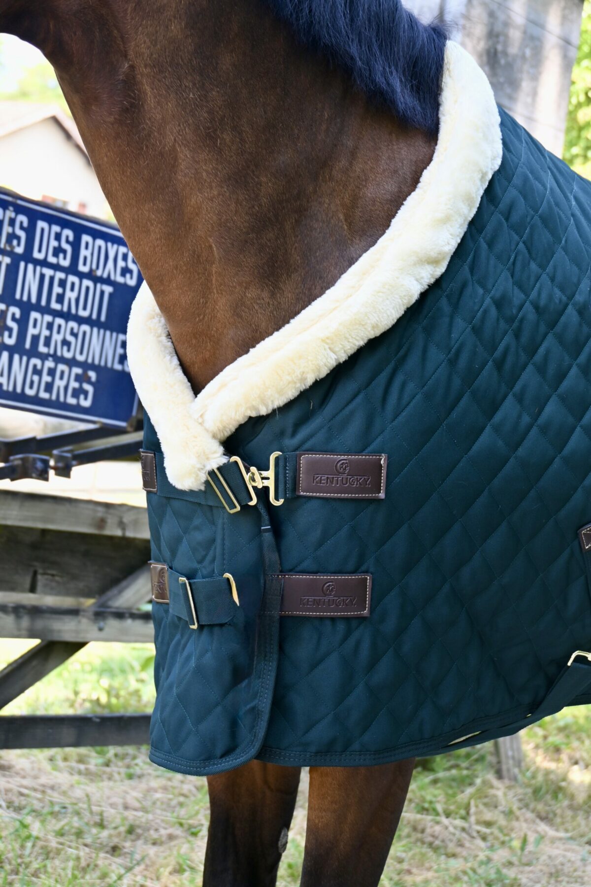 Show rug 160gr – Image 2