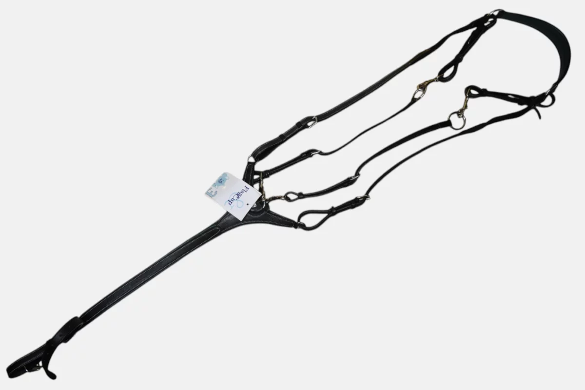 Collier de chasse Paris