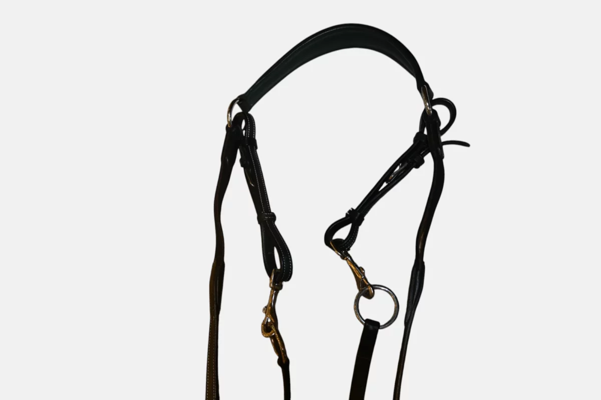 Collier de chasse Paris – Image 2