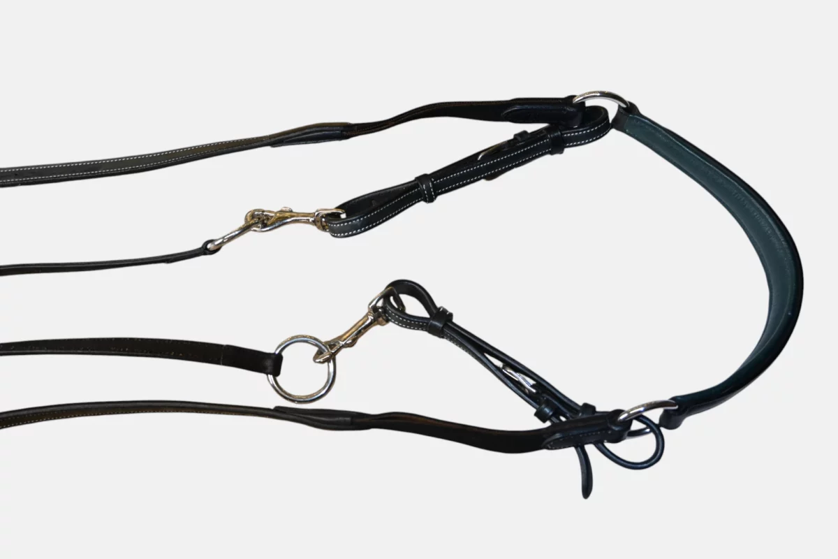 Collier de chasse Paris – Image 3