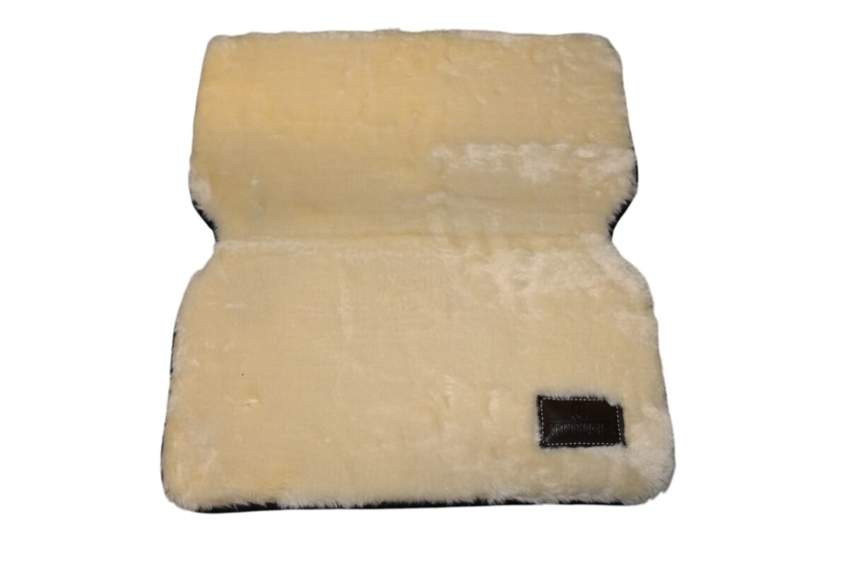 Horse bib protection poitrail waterproof