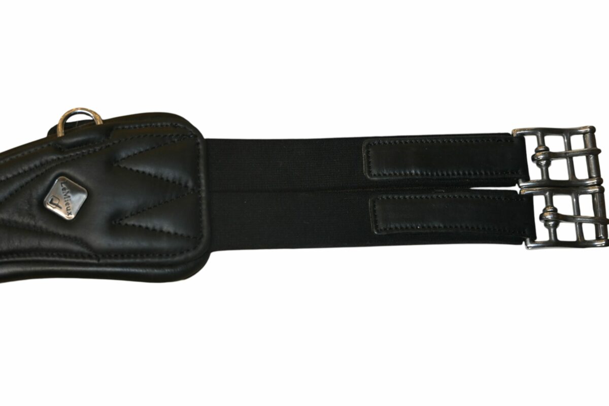 Gel-Tek Anatomc jumping girth