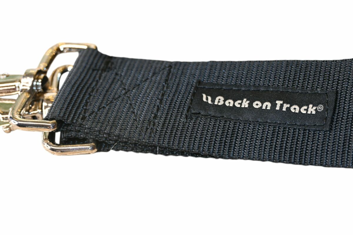 Collier back warmer – Image 2