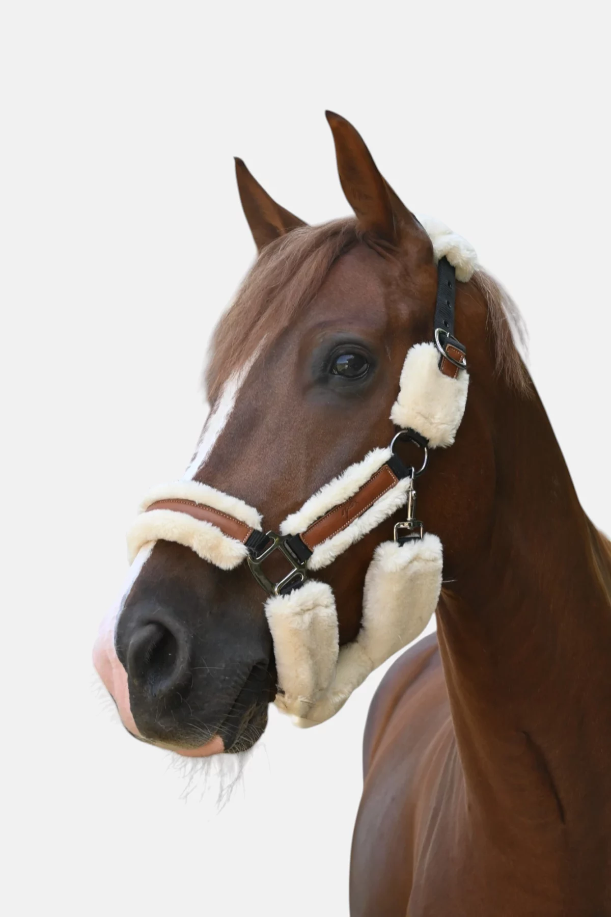 Licol Avec Mouton Soft Blanc