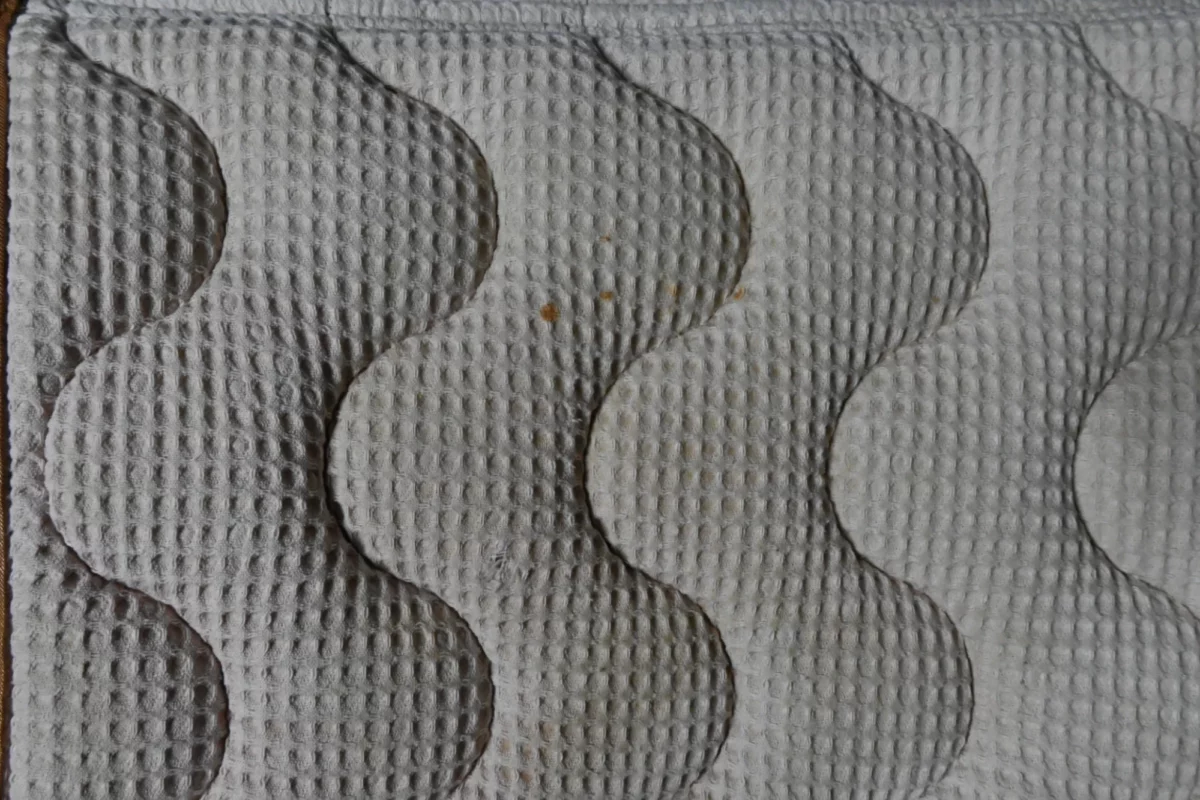 Tapis de selle Pénélope Classique – Image 4