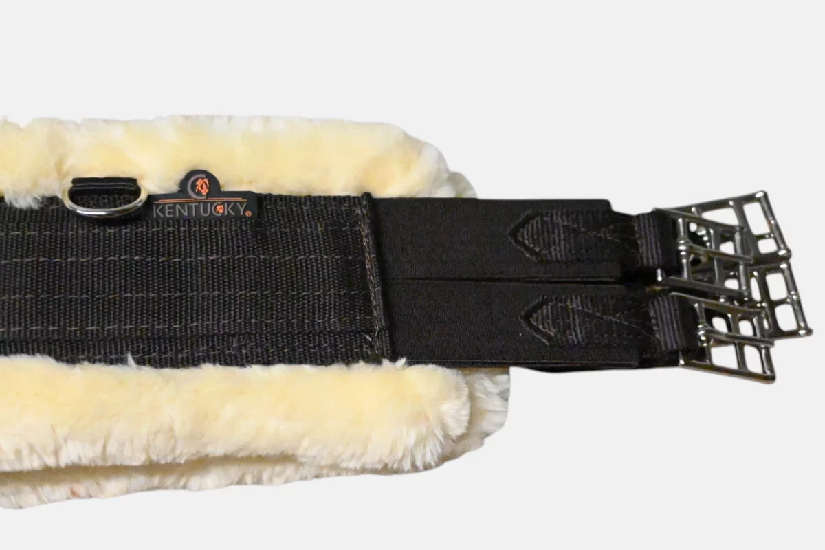 Sangle mouton – Image 3