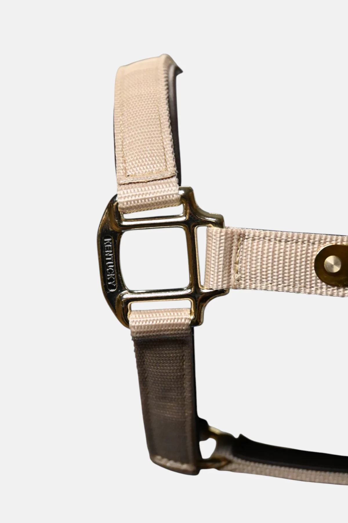 Licol Anatomique Nylon – Image 4