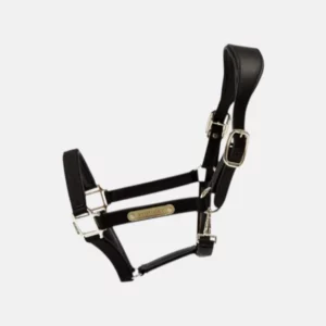 Kentucky - Licol Anatomique Nylon