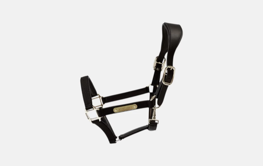 Kentucky - Licol Anatomique Nylon