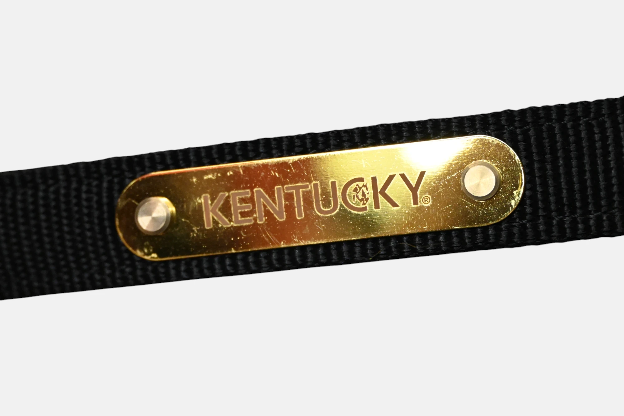 Kentucky - Licol Anatomique Nylon – Image 3