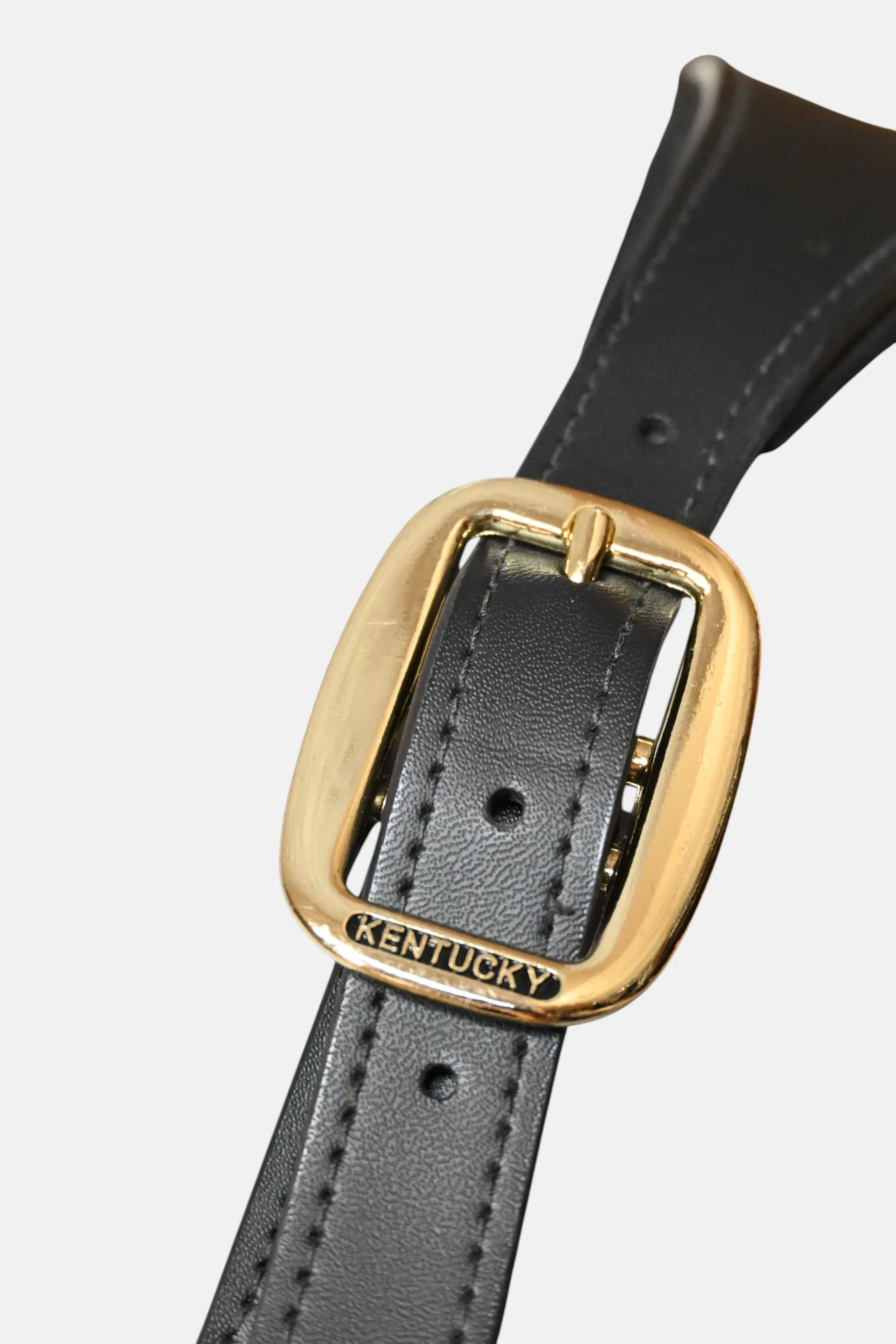 Kentucky - Licol Anatomique Nylon – Image 2