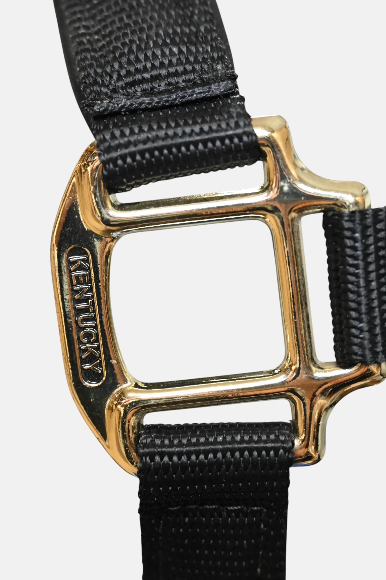 Kentucky - Licol Anatomique Nylon – Image 4