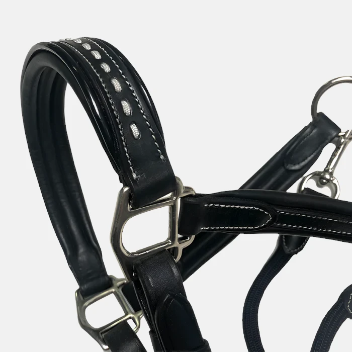 Pénélope Leprevost - Licol Point Sellier – Image 2