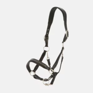 Pénélope Leprevost - Licol Point Sellier