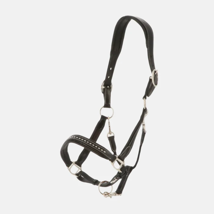 Pénélope Leprevost - Licol Point Sellier