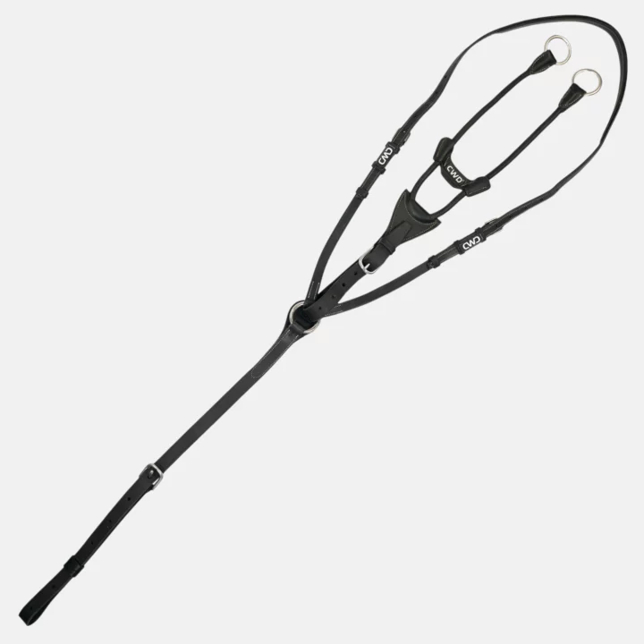 CWD - Martingale élastique