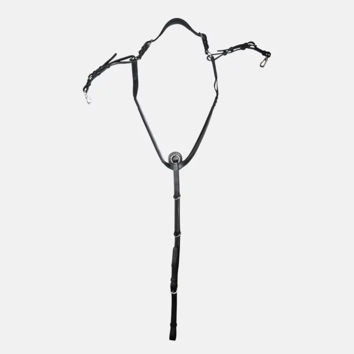 Dyon - Collier de chasse à point Havane