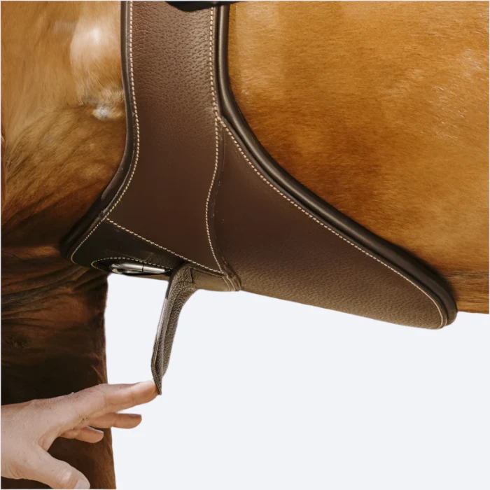 Norton – Sangle Bavette Magnet Marron – Image 3