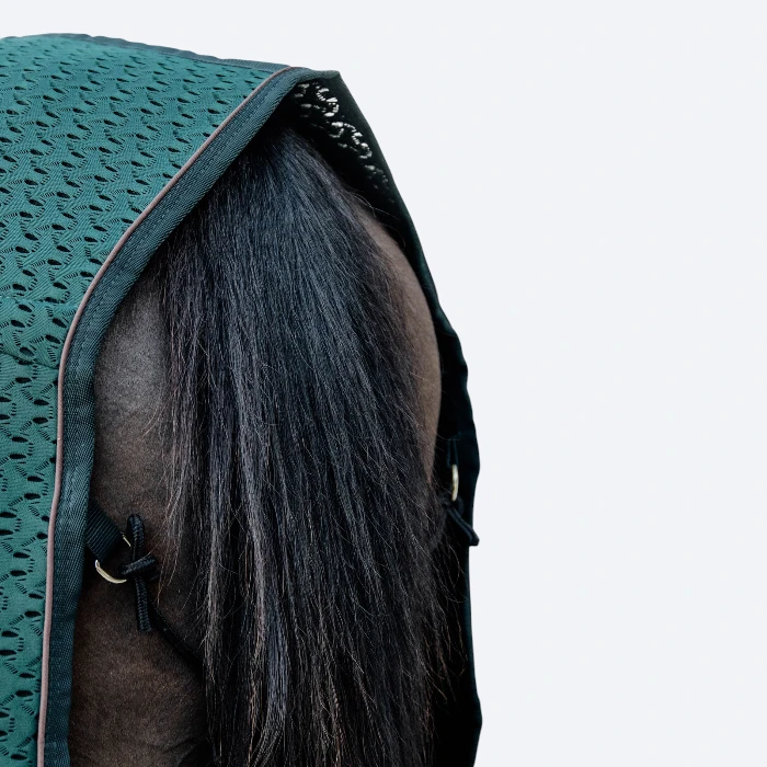 Kentucky – Chemise séchante 4D Spacer Vert Sapin – Image 4