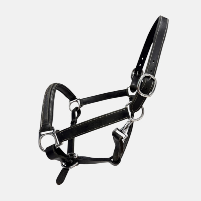 Dy'on - Licol en cuir Working Collection Noir