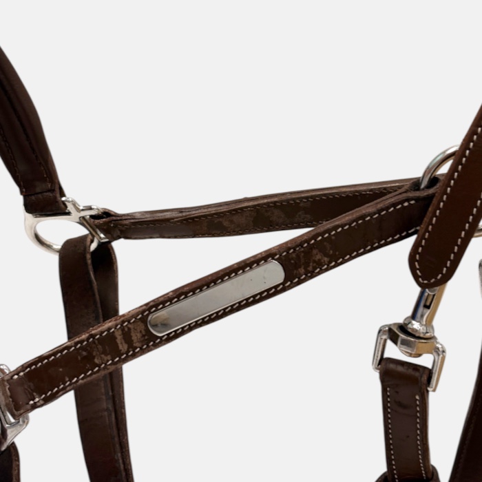 Norton - Licol cuir grooming havane – Image 4