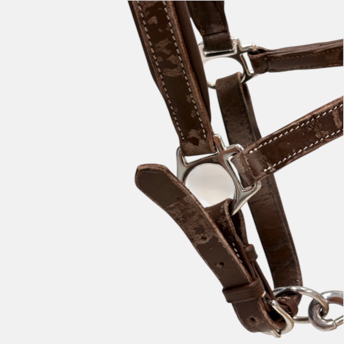 Norton - Licol cuir grooming havane – Image 2