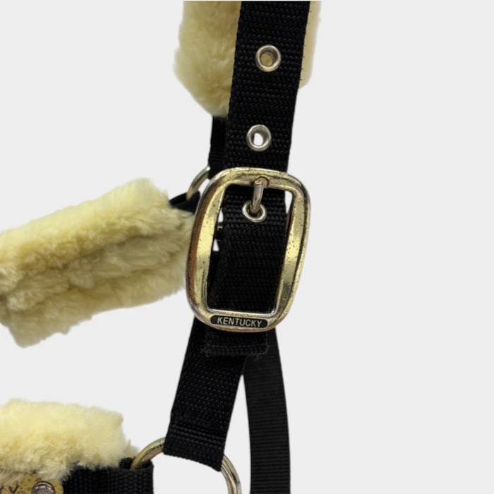 Kentucky – Licol en Nylon Mouton – Image 3