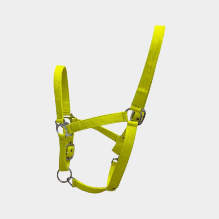 Equithème - Licol Jaune Fluo