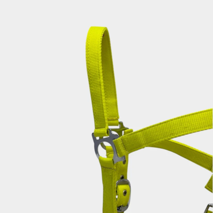 Equithème - Licol Jaune Fluo – Image 2