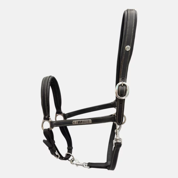 Norton - Licol cuir grooming noir