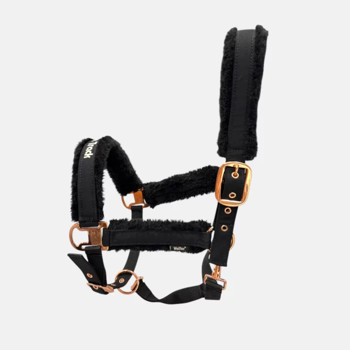Back On Track - Licols En Nylon Haze Collection Noir Rose