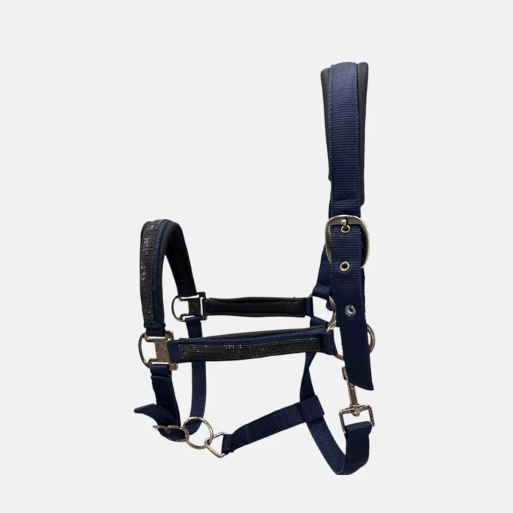 Equithème - Licol nylon Strass Marine