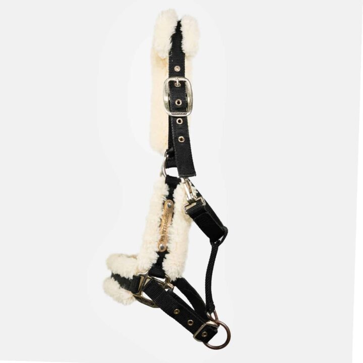 Kentucky – Licol en Nylon Mouton