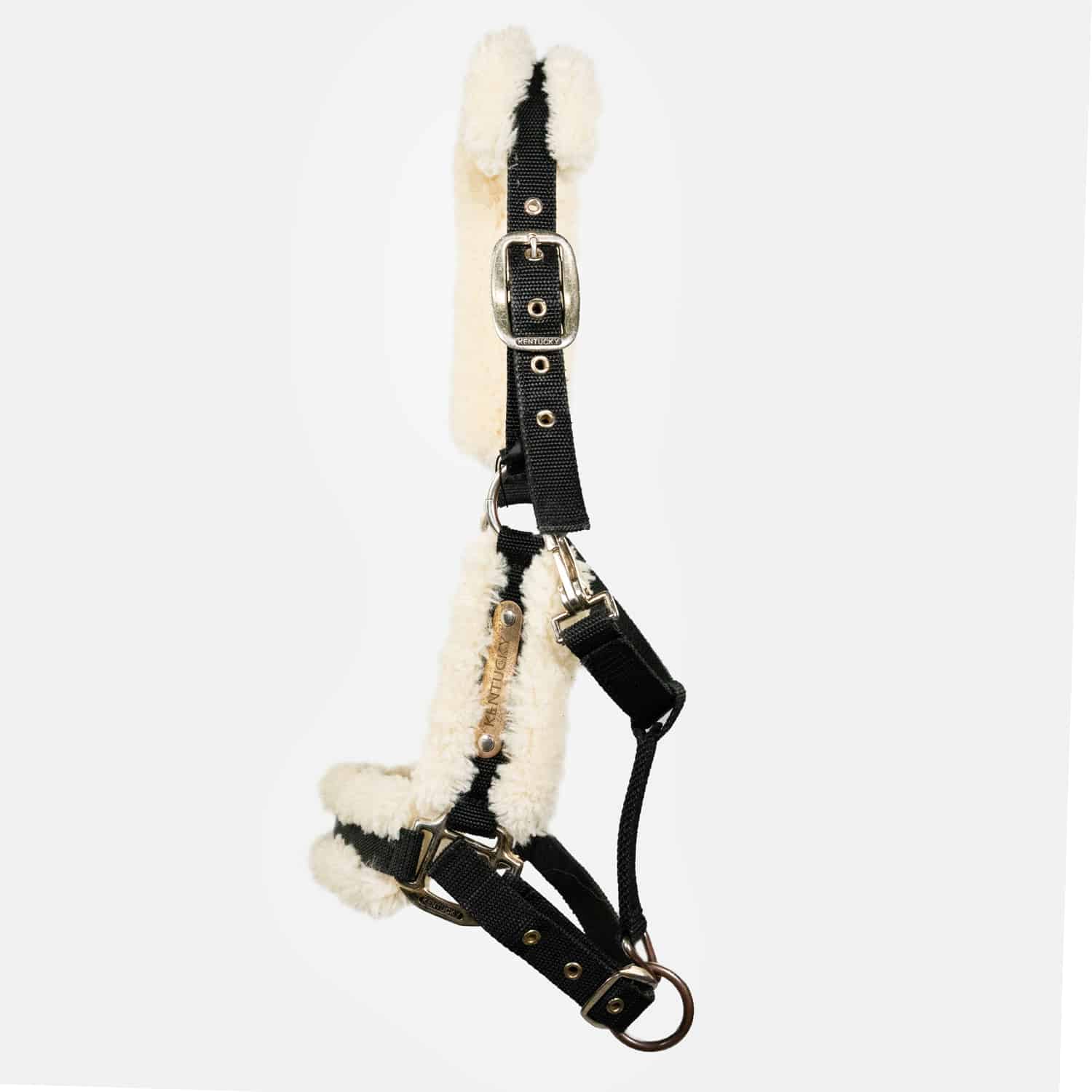 Kentucky – Licol en Nylon Mouton