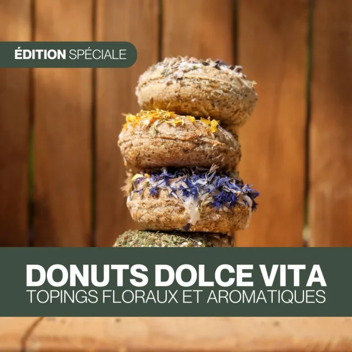 Czh'Feed&Care - Candy'z Donuts Dolce Vita Édition spéciale