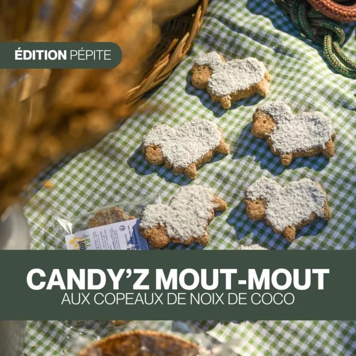 Czh'Feed&Care - Candy'z Mout-Mout Édition spéciale
