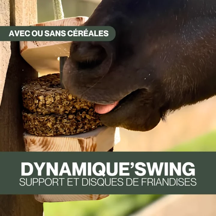 Czh'Feed&Care - Dynamique'Swing