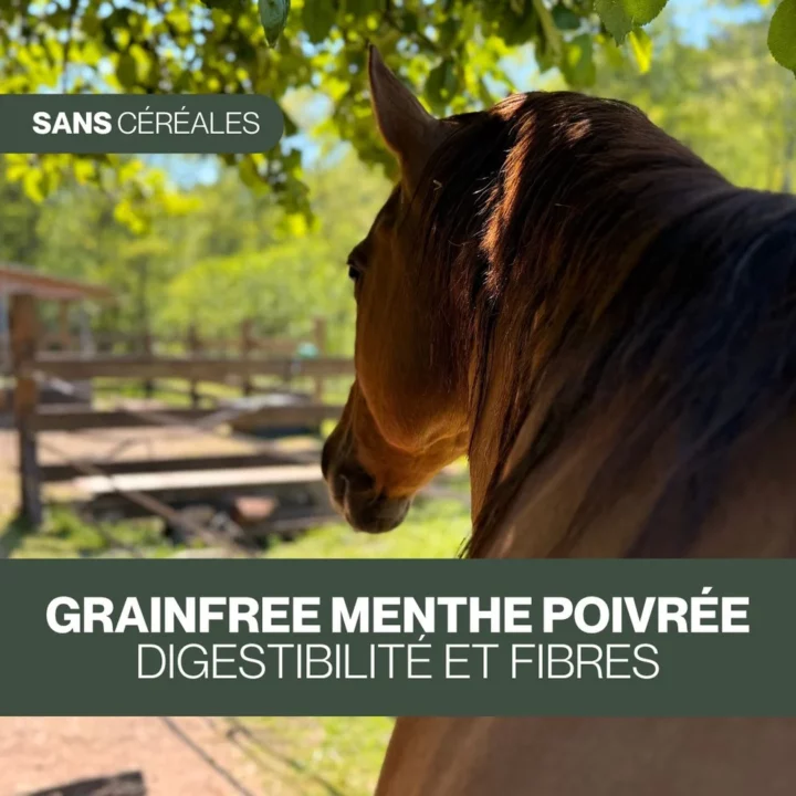 Czh'Feed&Care - GrainFree Menthe Poivrée