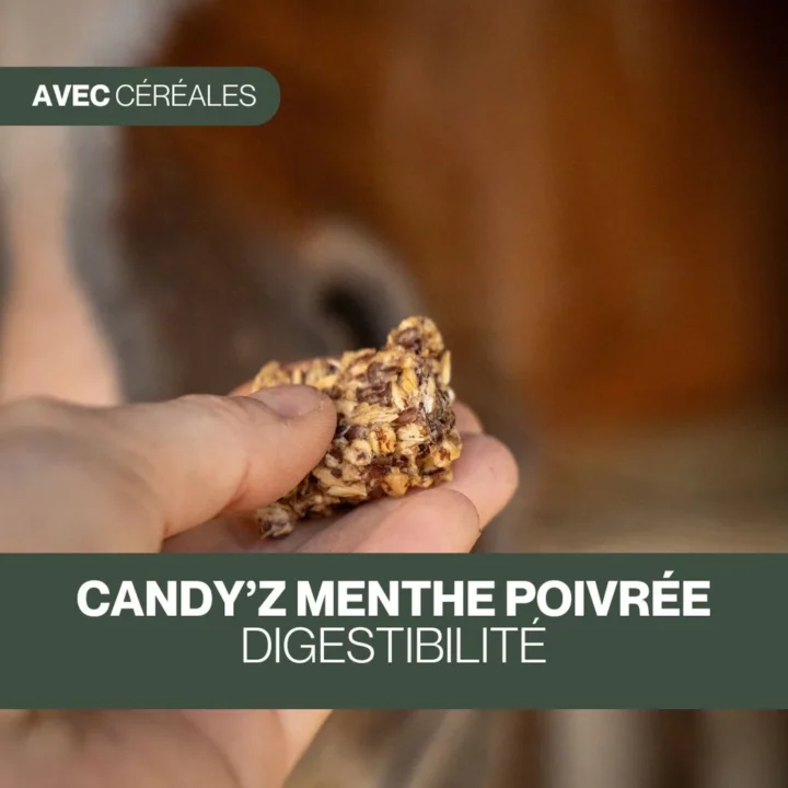 Czh'Feed&Care - Candy'z Menthe Poivrée