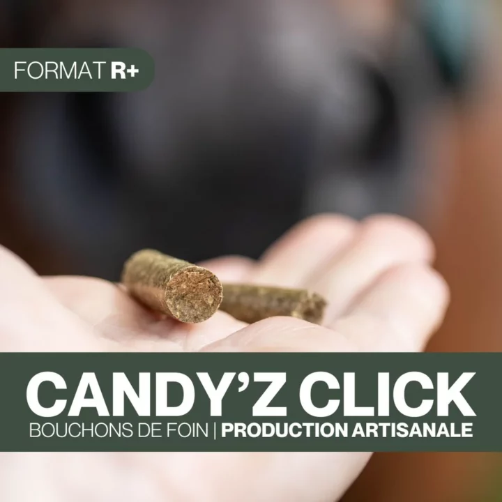 Czh'Feed&Care - Candy'z Click