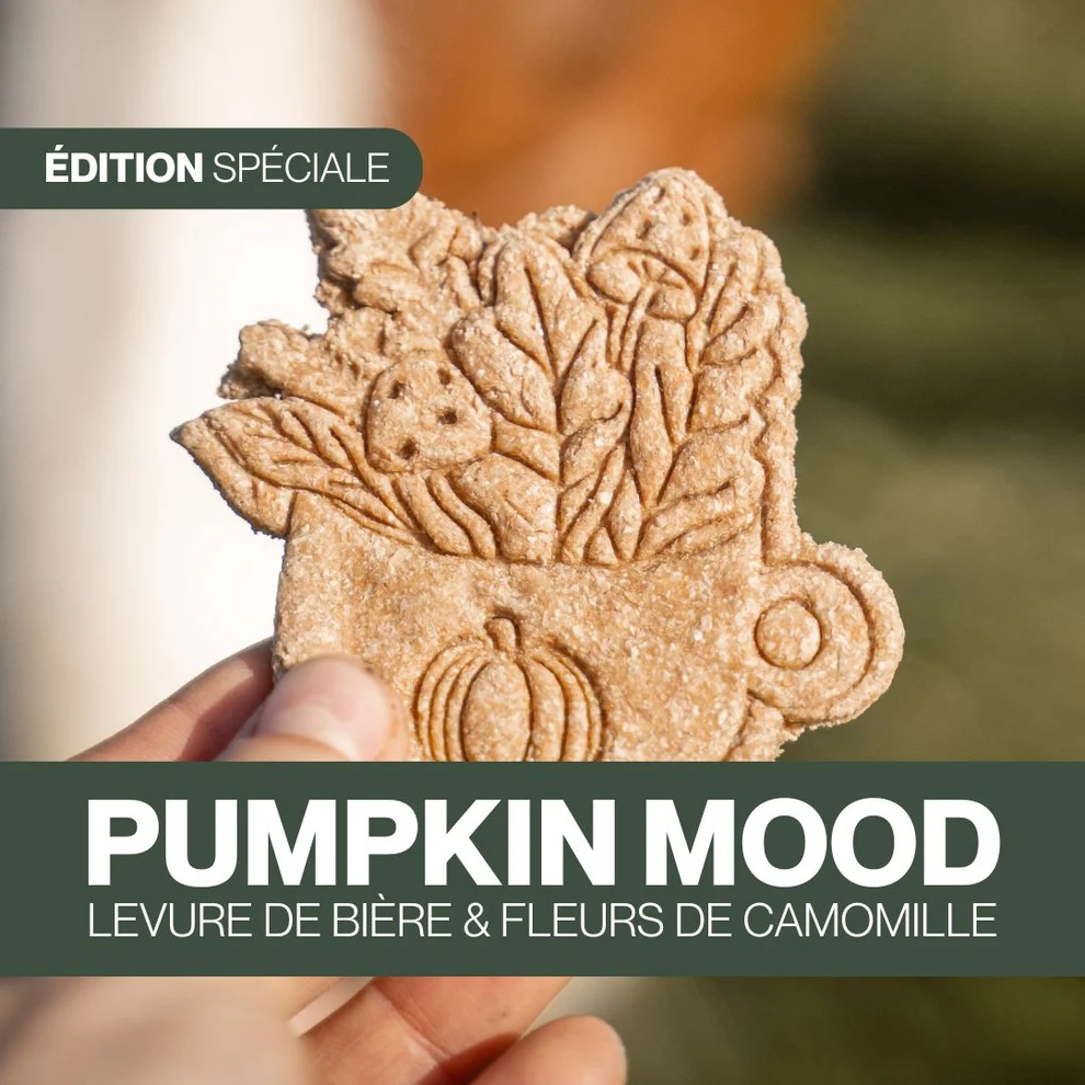 Czh'Feed&Care - Candy'z Pumpkin Mood