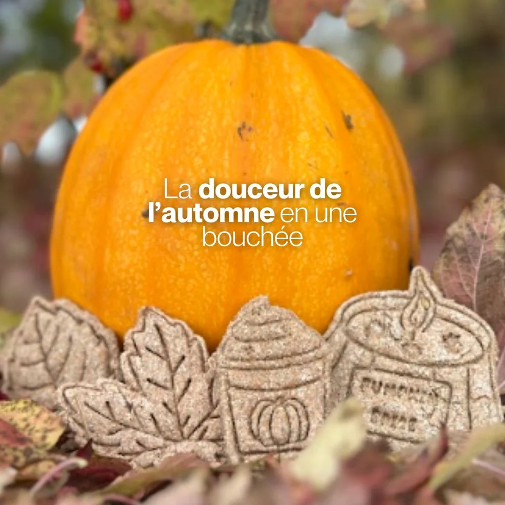 Czh'Feed&Care - Candy'z Pumpkin Mood – Image 2