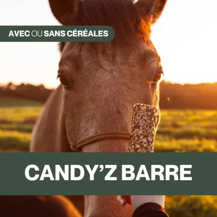 Czh'Feed&Care - Candy'z Barre Cozy Day