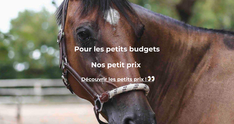 Impossible de résister… (4)